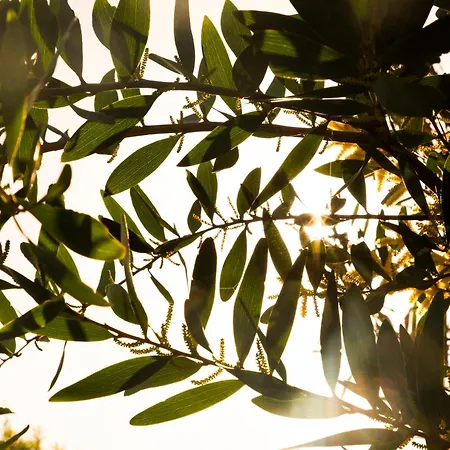 Quinta Da Cris Villa Costa Nova