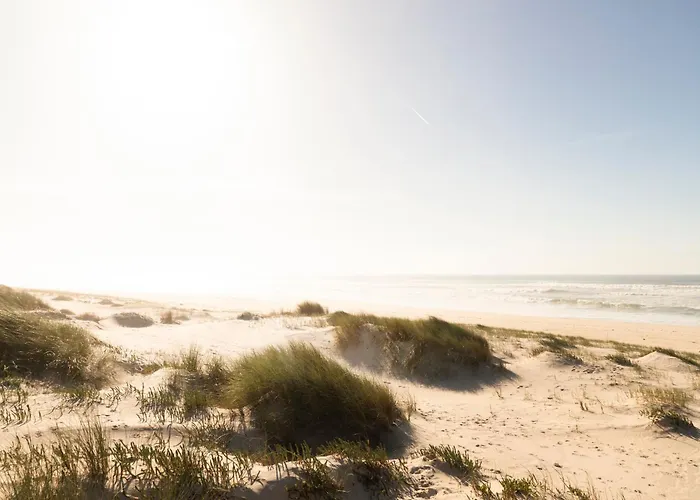 Вилла Quinta Da Cris Кошта-Нова