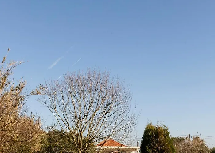 Вилла Quinta Da Cris Кошта-Нова