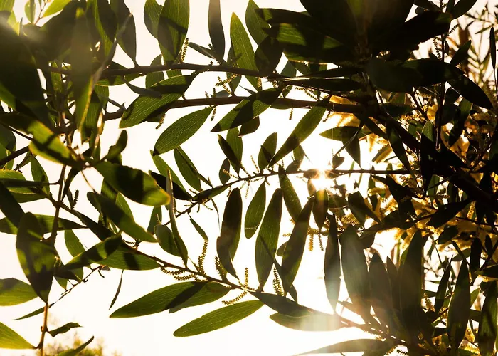 Quinta Da Cris Вилла Кошта-Нова