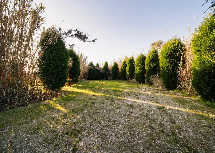 Вилла Quinta Da Cris Кошта-Нова