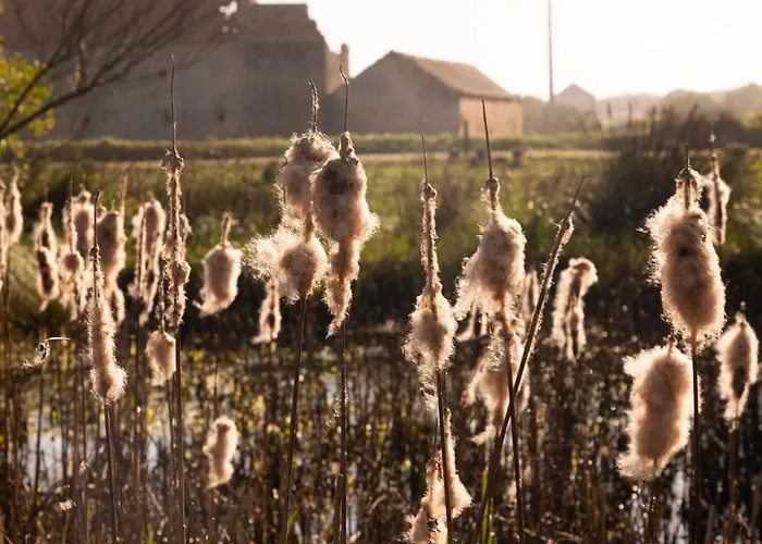 Quinta Da Cris * Кошта-Нова